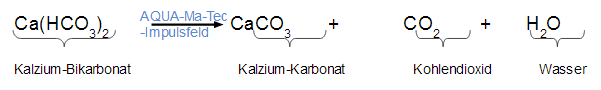 schematische Darstellung